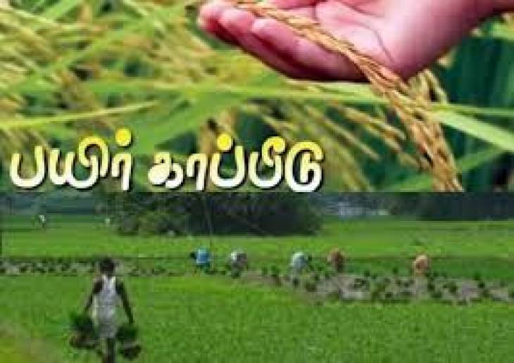பயிர்காப்பீடு - விவசாயிகளை பலியிடத்தயாராகும் அரசு!