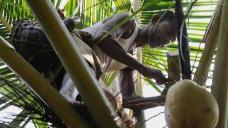 கள் ஒரு கொடிய விஷம் என்கிறார் மருத்துவர்! 