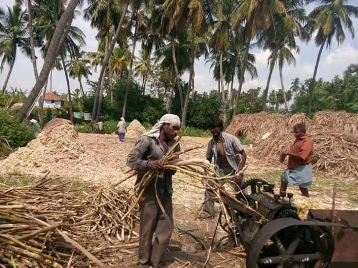 சர்க்கரை வியாதிக்கு நாட்டுச் சர்க்கரை தீர்வல்ல!