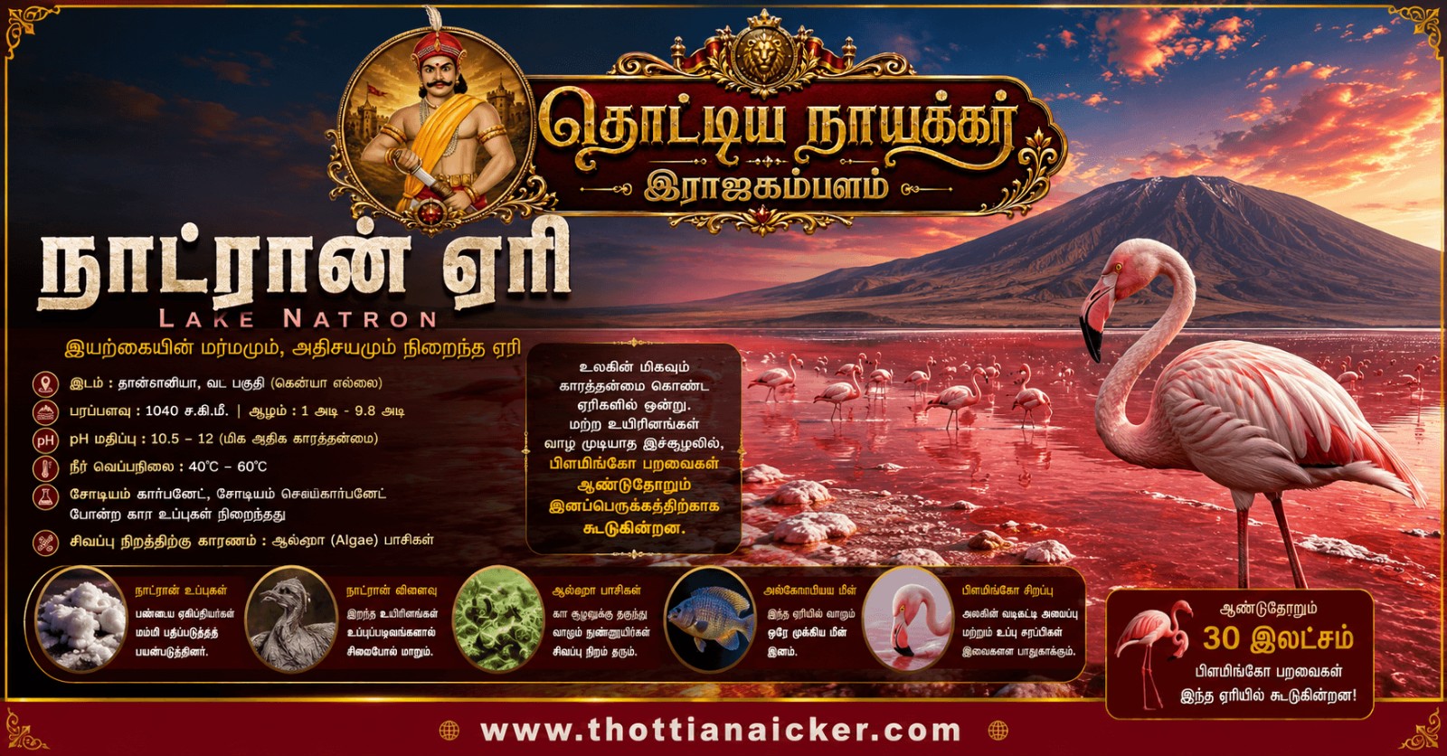 உலகையே வியக்க வைக்கும் மர்ம ஏரி – நாட்ரான் ஏரி